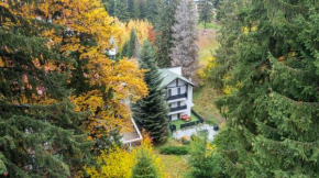 Family TreeZ Premium Apartments Braşov